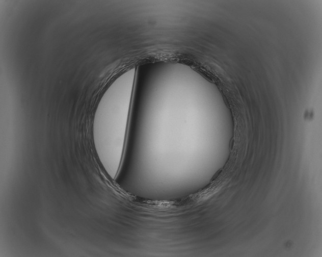 X0000097620288200802290827