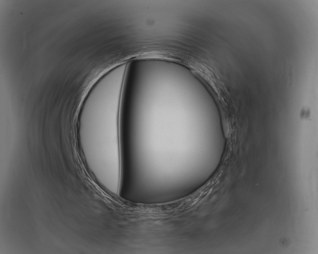 X0000097620289200802290826