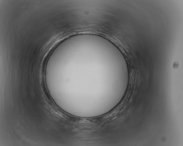 X0000097620290200802290826