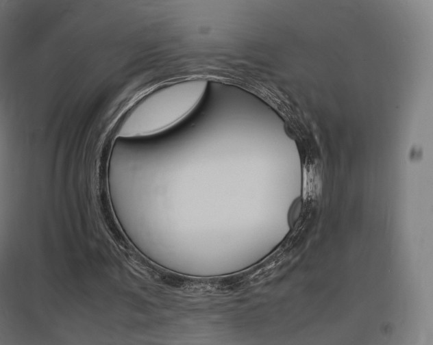 X0000097620291200802290826