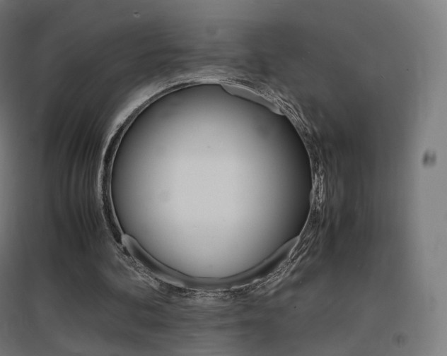 X0000097620292200802290826