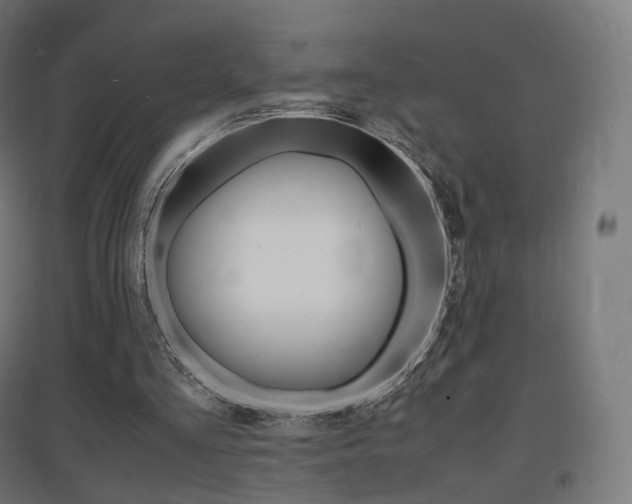 X0000097620293200802290826