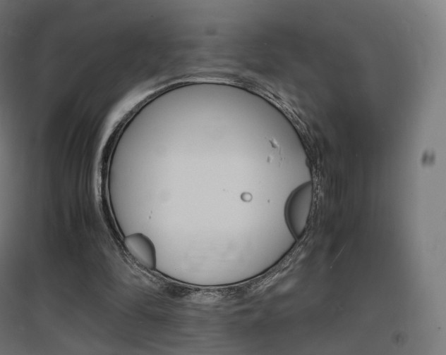 X0000097620294200802290826