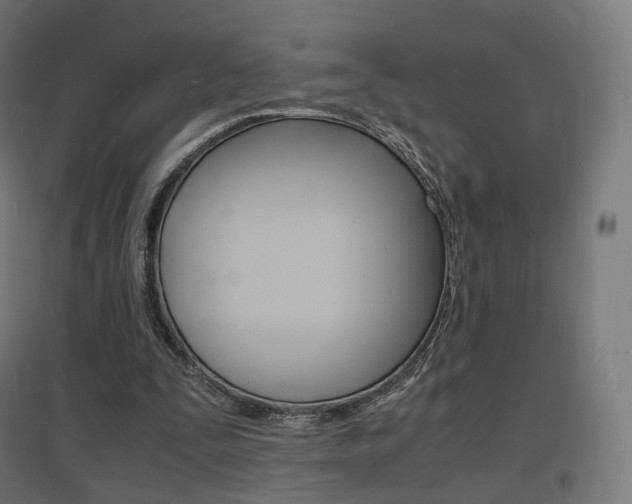 X0000097620295200802290826
