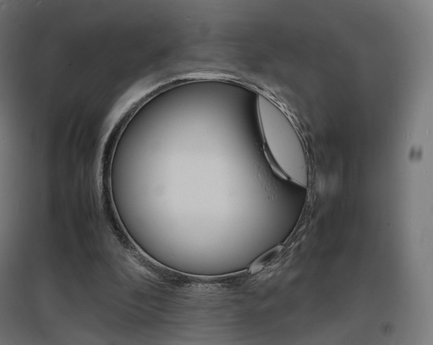 X0000097620296200802290826