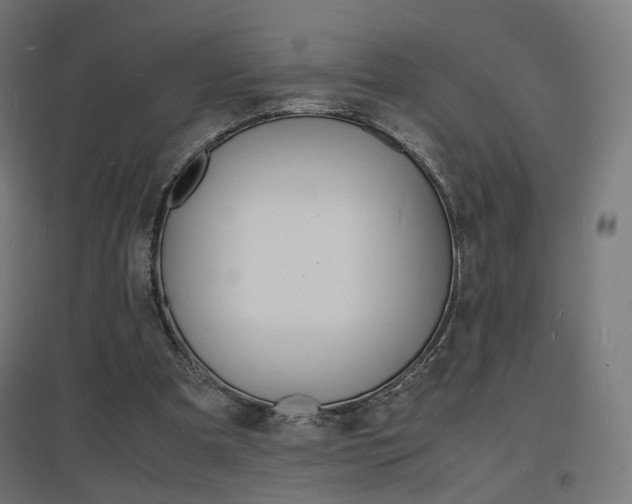 X0000097620297200802290826