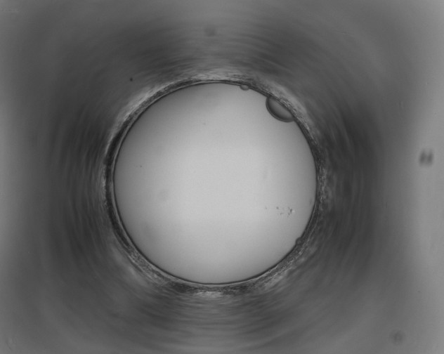 X0000097620298200802290826