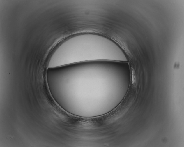 X0000097620300200802290826