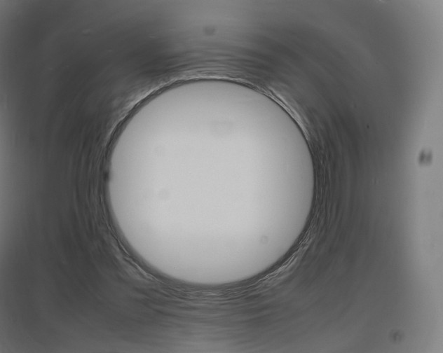 X0000097620301200802290826