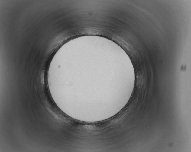 X0000097620302200802290826