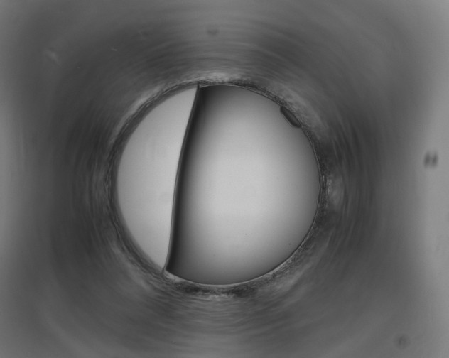 X0000097620304200802290826