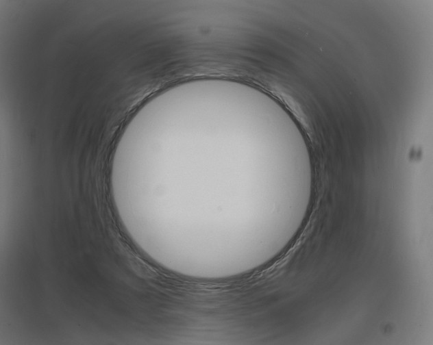X0000097620305200802290826