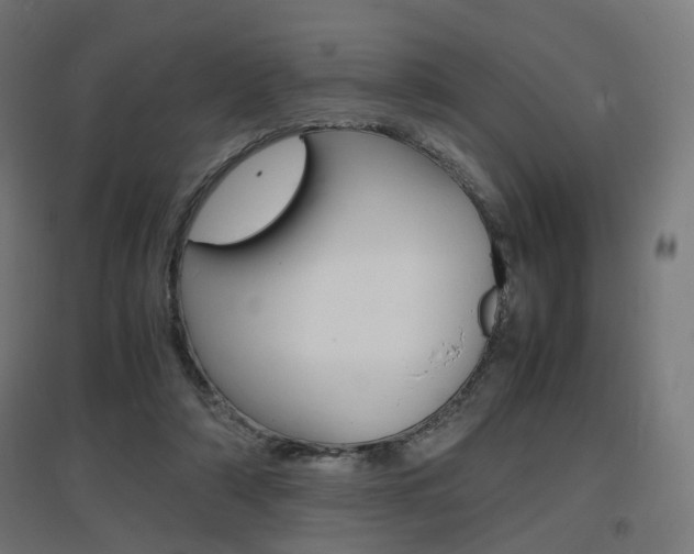 X0000097620306200802290826