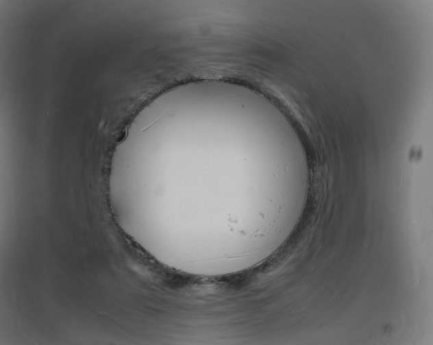 X0000097620307200802290826