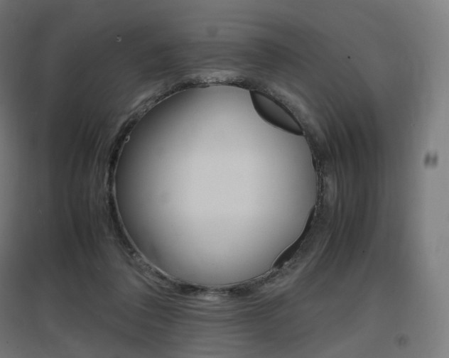 X0000097620308200802290826