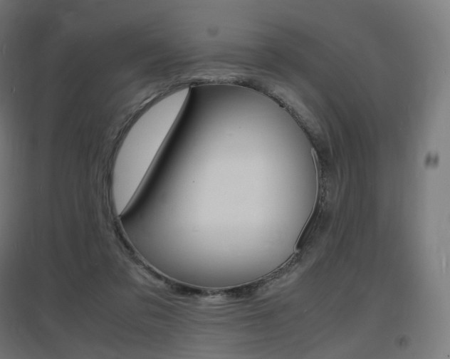 X0000097620309200802290826