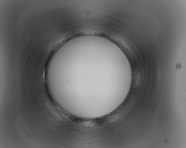 X0000097620310200802290826