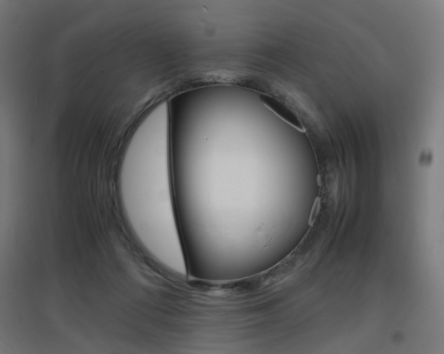 X0000097620312200802290826