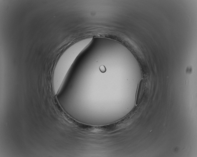 X0000097620313200802290826