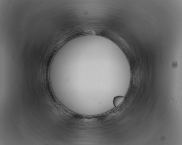 X0000097620314200802290826
