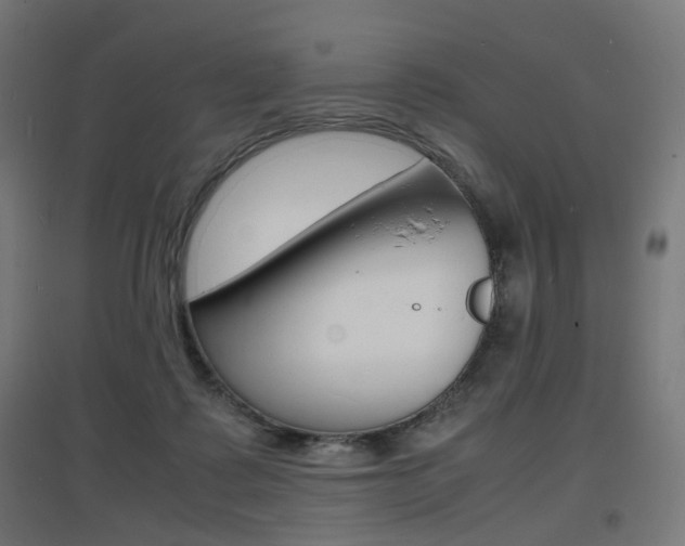 X0000097620315200802290826