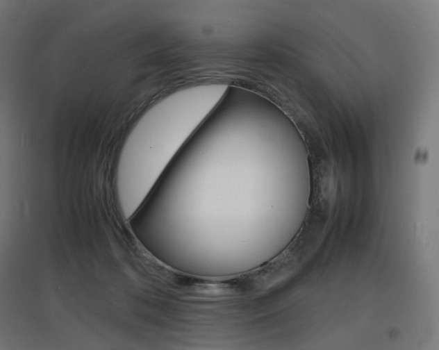 X0000097620316200802290826