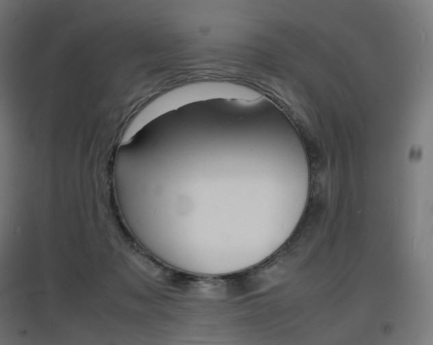 X0000097620317200802290826