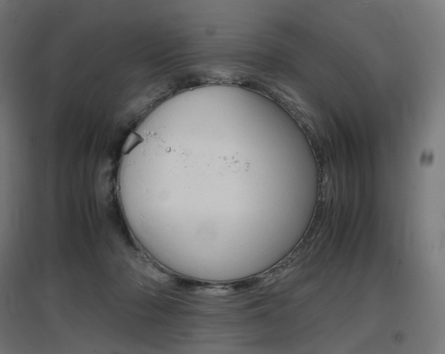 X0000097620318200802290826