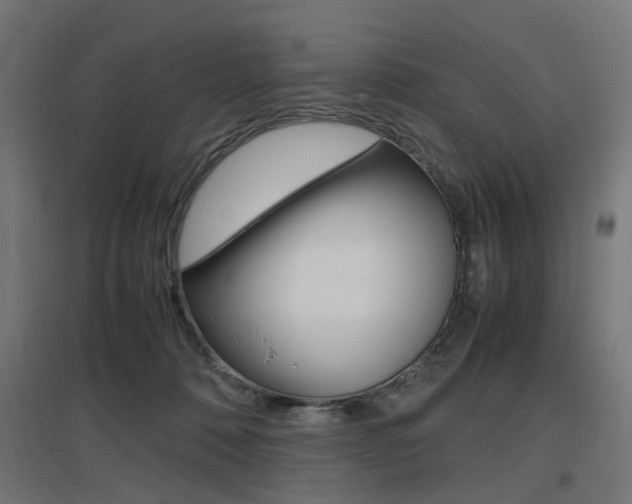 X0000097620320200802290826