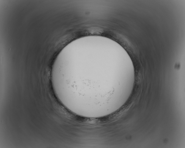 X0000097620321200802290826