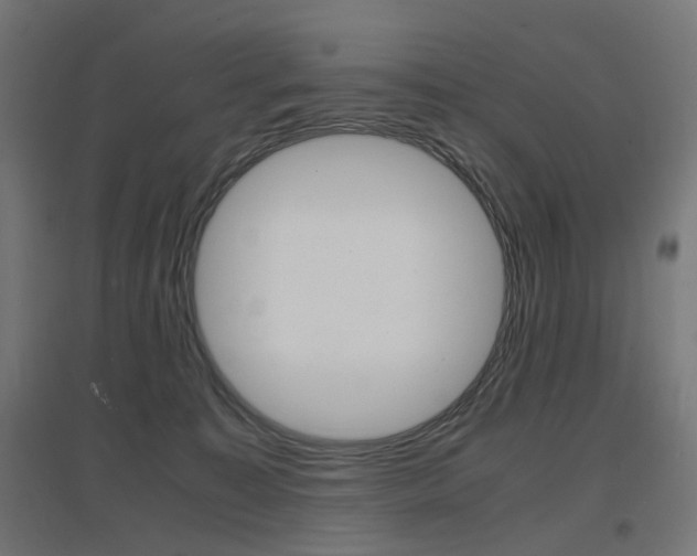 X0000097620323200802290826