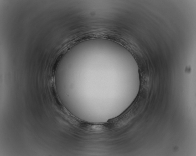 X0000097620324200802290826