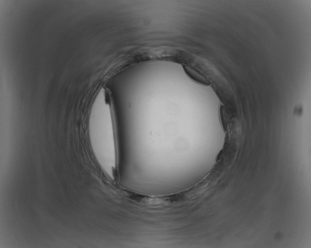 X0000097620327200802290826