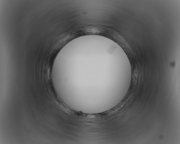 X0000097620330200802290826