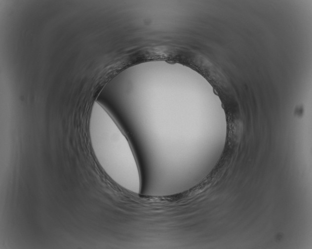 X0000097620331200802290826