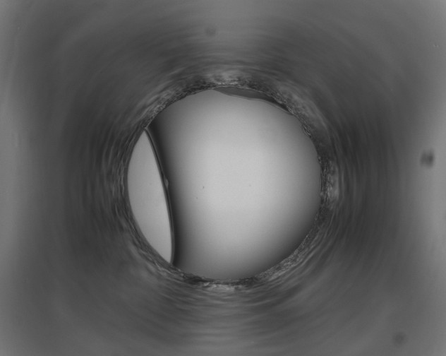 X0000097620332200802290826