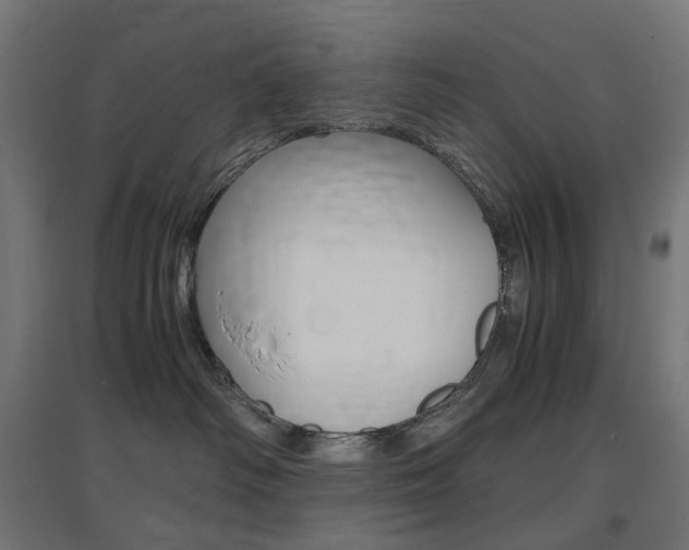 X0000097620334200802290826