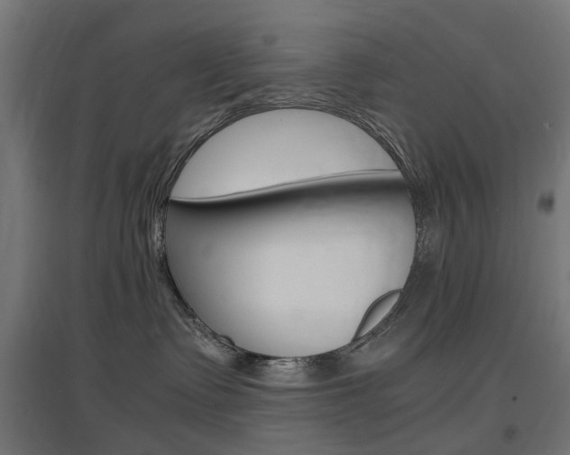 X0000097620335200802290826