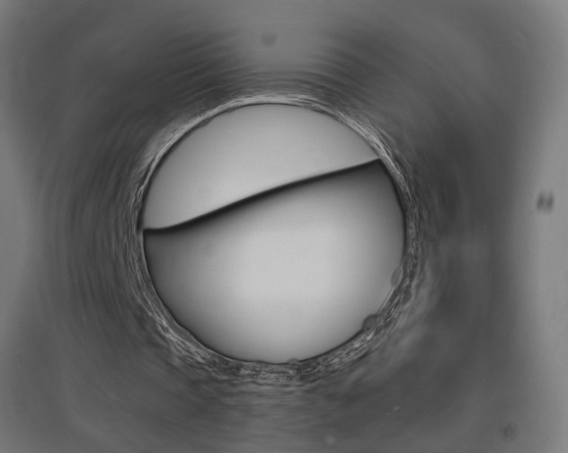 X0000097620337200802290825
