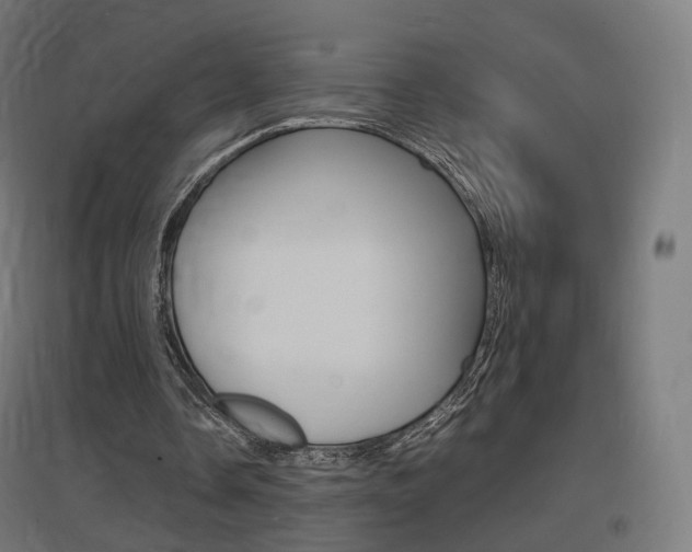 X0000097620338200802290825