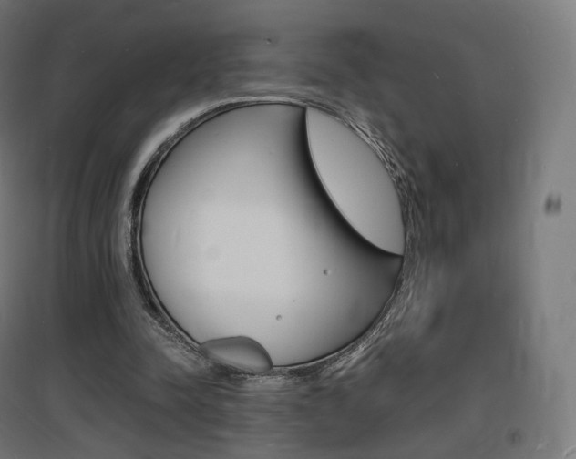 X0000097620342200802290825