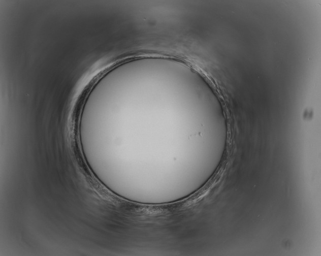 X0000097620343200802290825