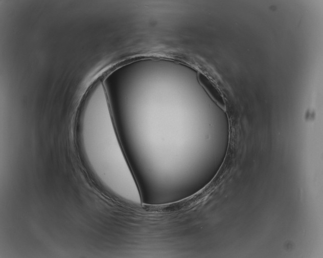 X0000097620344200802290825