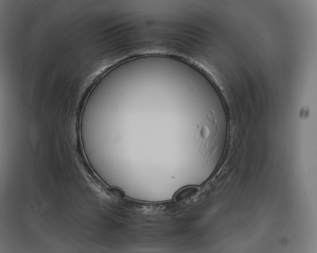 X0000097620345200802290825