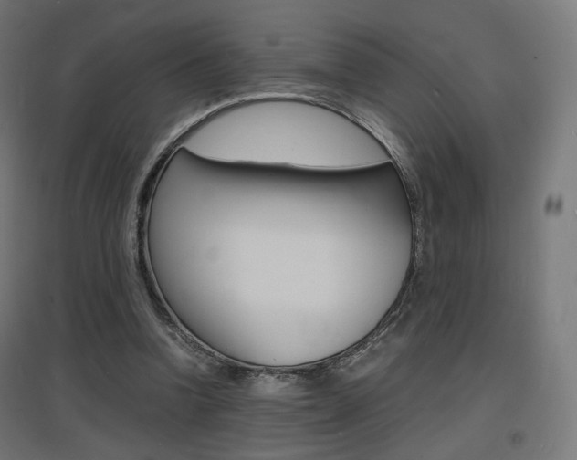 X0000097620346200802290825