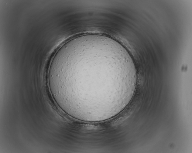 X0000097620347200802290825