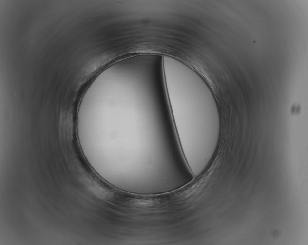 X0000097620349200802290825