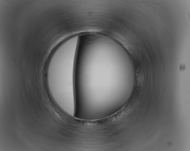 X0000097620350200802290825