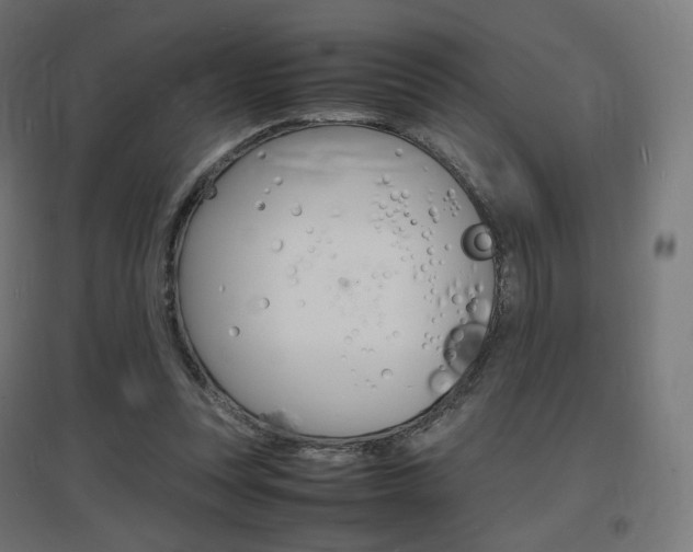 X0000097620351200802290825