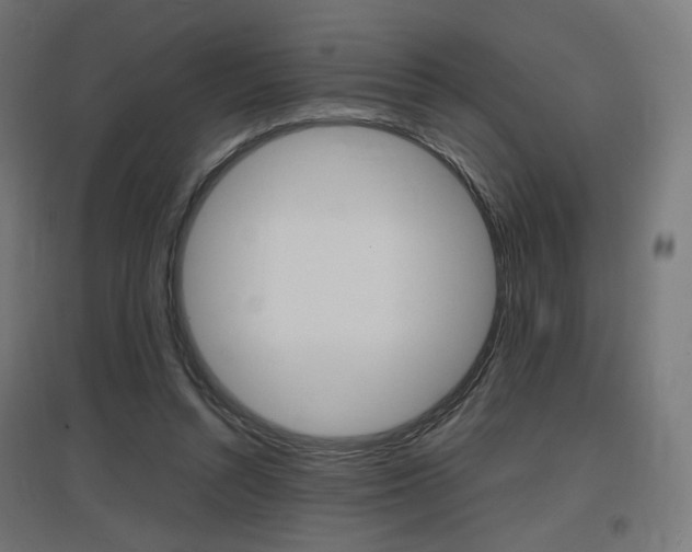 X0000097620352200802290825